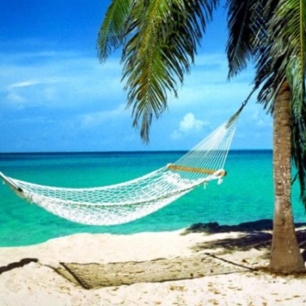 Meet your Posher, Anita